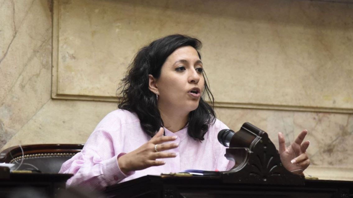 Reapareci� Leila Chaher: "El ajuste lo pagar�n los argentinos y no la casta"