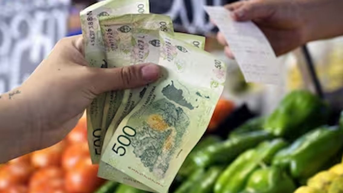 La inflaci�n en noviembre fue de 12,8% y la interanual lleg� al 160,9%