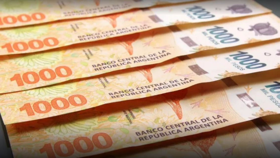 El beneficio de ANSES que nadie sab�a: c�mo comprar una 'compu' �ltimo modelo