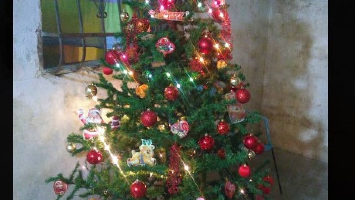 Nenito sali� de ba�arse, toc� las luces del arbolito de navidad y se electrocut�