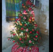 Nenito salió de bañarse, tocó las luces del arbolito de navidad y se electrocutó