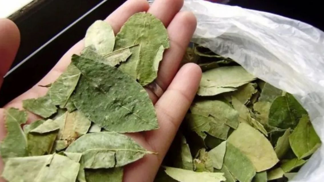 Se disparó el precio de la hoja de coca en Jujuy