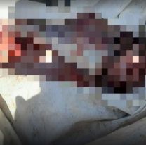 Incautaron 240 kilos de carne no apta para consumo humano: as&iacute; estaba [FOTO]