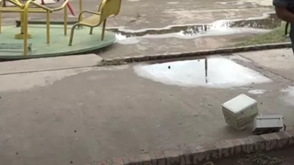 Terrible tragedia en una plaza juje�a: Tres perros muertos electrocutados