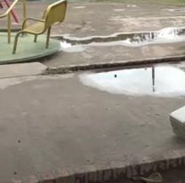 Terrible tragedia en una plaza juje&ntilde;a: Tres perros muertos electrocutados