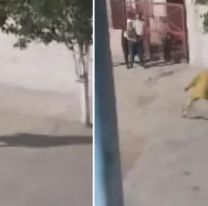 Escena de terror en Alto Comedero: Caminaba con un machete buscando a su ex