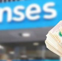 La mala noticia de ANSES antes de las Fiestas: afectar&aacute; a varios beneficiaros