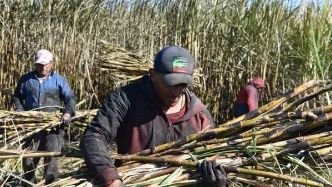 Reforma laboral: Los cambios que se vienen en tu trabajo