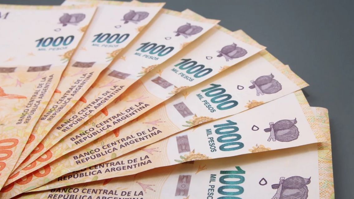 Anses pagará $50.000 de bono de fin de año: revisá si te toca