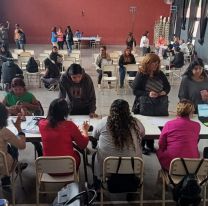 Ingreso a primer año: Todavía hay padres que siguen peregrinando por un lugar