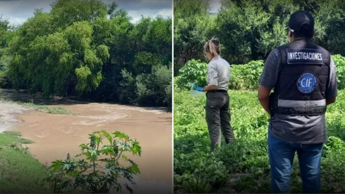 Revelaron d�nde queda la finca que riega las verduras con agua de cloaca