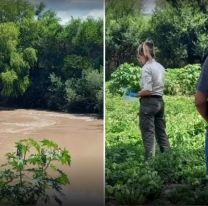 Revelaron dónde queda la finca que riega las verduras con agua de cloaca