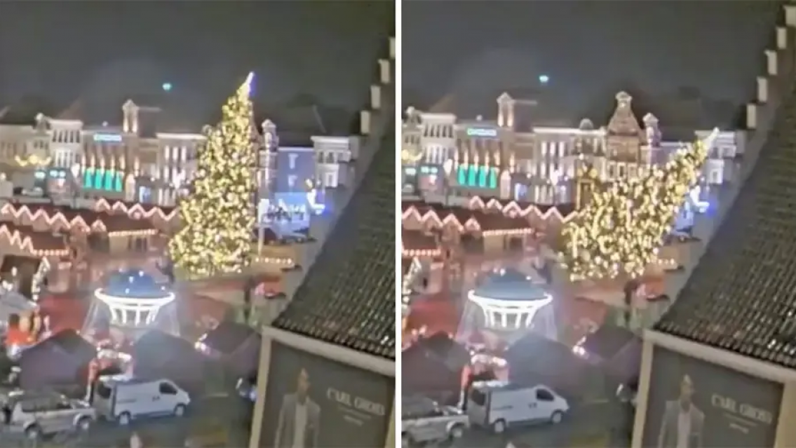 La peor Navidad, se desmoron� un �rbol gigante y mat� a una persona