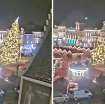 La peor Navidad, se desmoronó un árbol gigante y mató a una persona