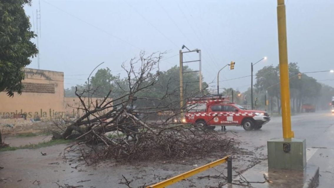 Temporal en Jujuy: inundaciones, cortes de luz y árboles caídos