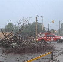 Temporal en Jujuy: inundaciones, cortes de luz y árboles caídos