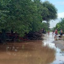 Gran parte de Jujuy sigue bajo el agua: Hay familias evacuadas