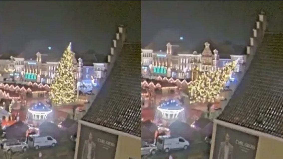 Murió una mujer después que le cayera un árbol de Navidad encima