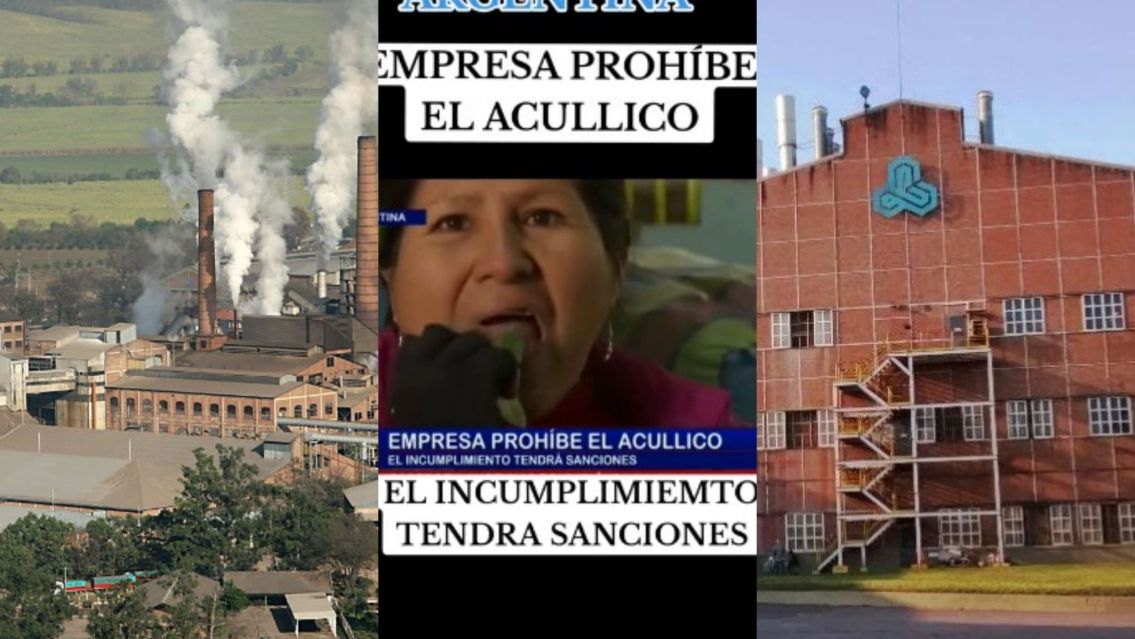 Bolivianos sorprendidos por la prohibición de coquear en Ledesma: "Es una práctica milenaria"