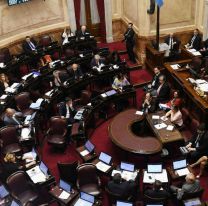 Estos son los senadores que formarán parte de la bicameral que tratarán los DNU de Javier Milei