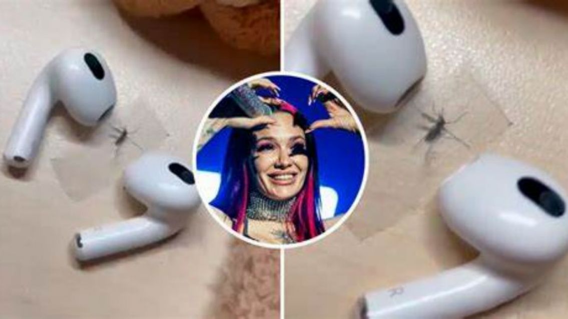 Atrapó un mosquito y le puso música de La Joaqui para torturarlo: "Peor que la muerte"