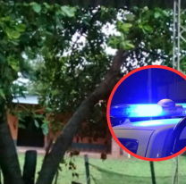 En a&ntilde;o nuevo: se hicieron pasar por gendarmes y realizaron un robo millonario 