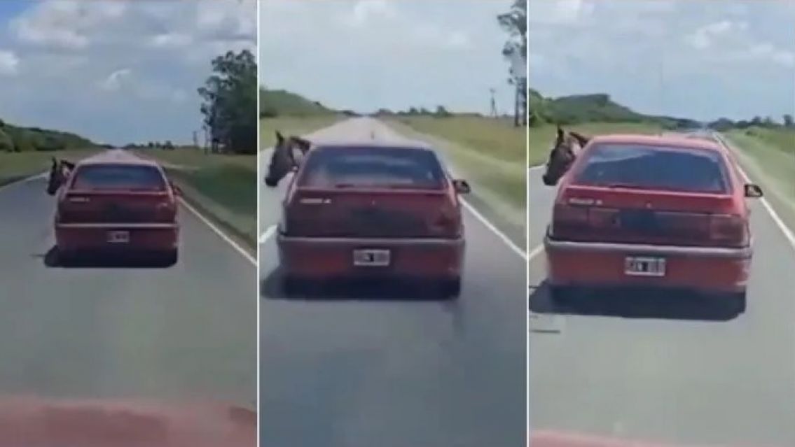 Sorpresa en la ruta: Encontraron un caballo arriba de un renault 19