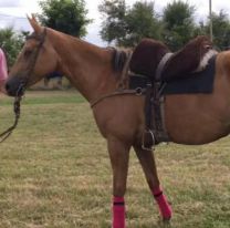 Es adicto, le pidió plata a su papá y lo asesinó de un mazazo en la cabeza