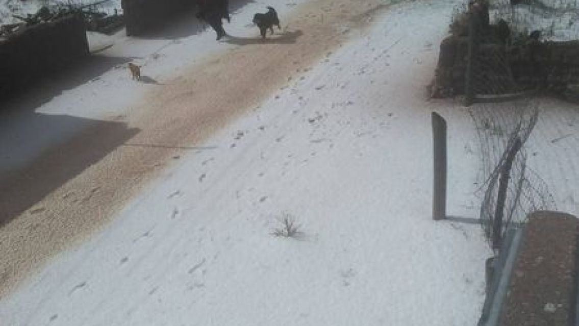 Graves pérdidas en Humahuaca tras la caída de granizo: "quedó todo blanco"