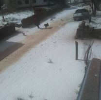 Graves p&eacute;rdidas en Humahuaca tras la ca&iacute;da de granizo: "qued&oacute; todo blanco"