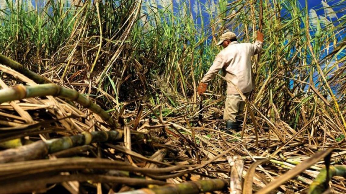 Ca�eros independientes en contra de la desregulaci�n de Milei