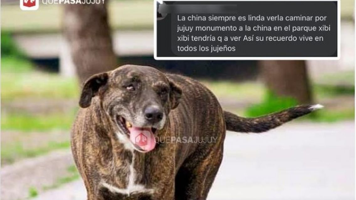 Quieren hacer un  monumento a la China en el Xibi Xibi: "Siempre es lindo verla"