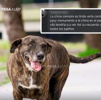 Quieren hacer un monumento a la China en el Xibi Xibi: "Siempre es lindo verla"