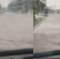Palpalá quedó bajó el agua: Autos tapados