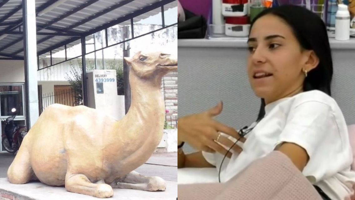 Esc�ndalo: Luc�a de GH confes� ser quien rob� la famosa estatua del camello en Salta [VIDEO]
