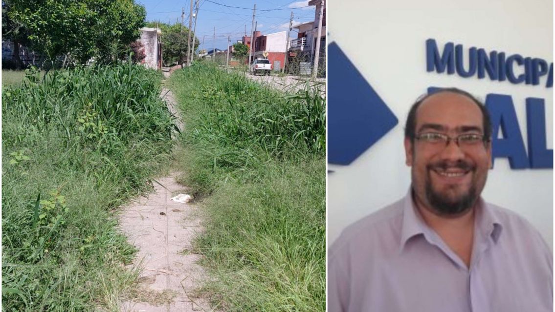 Plazas tapadas por yuyos en Palpal�: Rivarola sigue sin dar respuestas