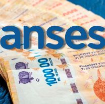 IFE Milei: El anuncio de Anses esperado por miles de personas