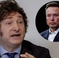 El fuerte mensaje de Elon Musk a Javier Milei tras su discurso en Davos