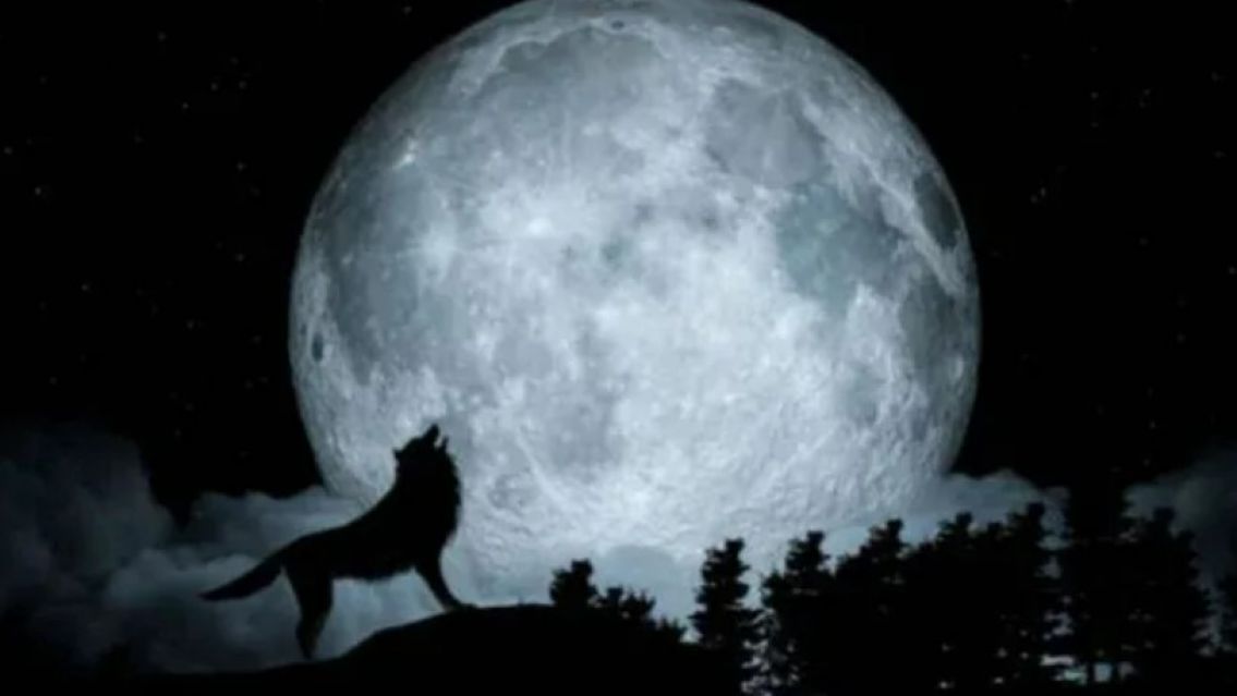 Noche del lobo: cu�ndo se puede ver la primera luna llena del 2024 y c�mo afecta a cada signo