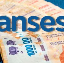 Cómo inscribirse para cobrar los 130 mil pesos de Anses: Es muy fácil