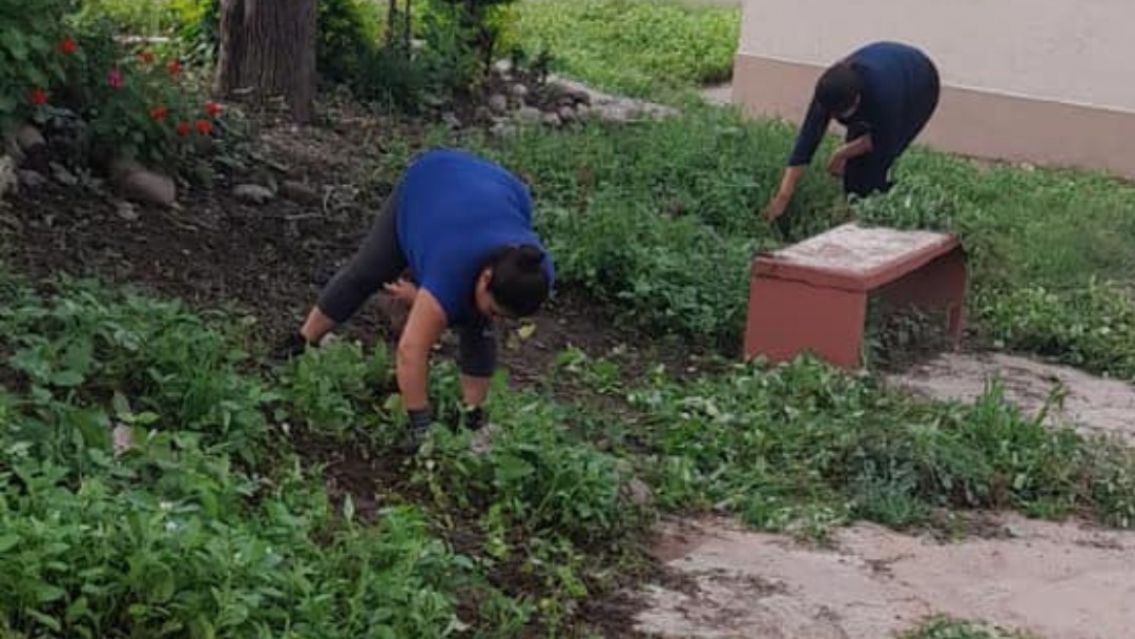 Rivarola no responde y los vecinos decidieron salir a desmalezar