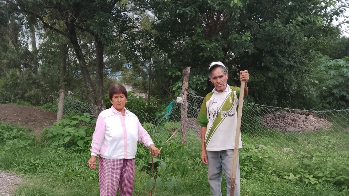 Vecinos de Palpal� salen a poner �rboles en las plazas ante la falta de respuesta del municipio