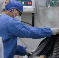 Murió otra persona por COVID-19 en Misiones: ya son siete los fallecidos