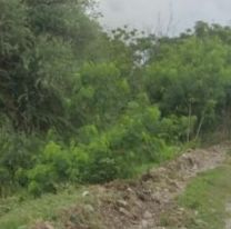 Camionero juje&ntilde;o vivi&oacute; una pesadilla con "la mujer del bald&iacute;o": No lo puede creer