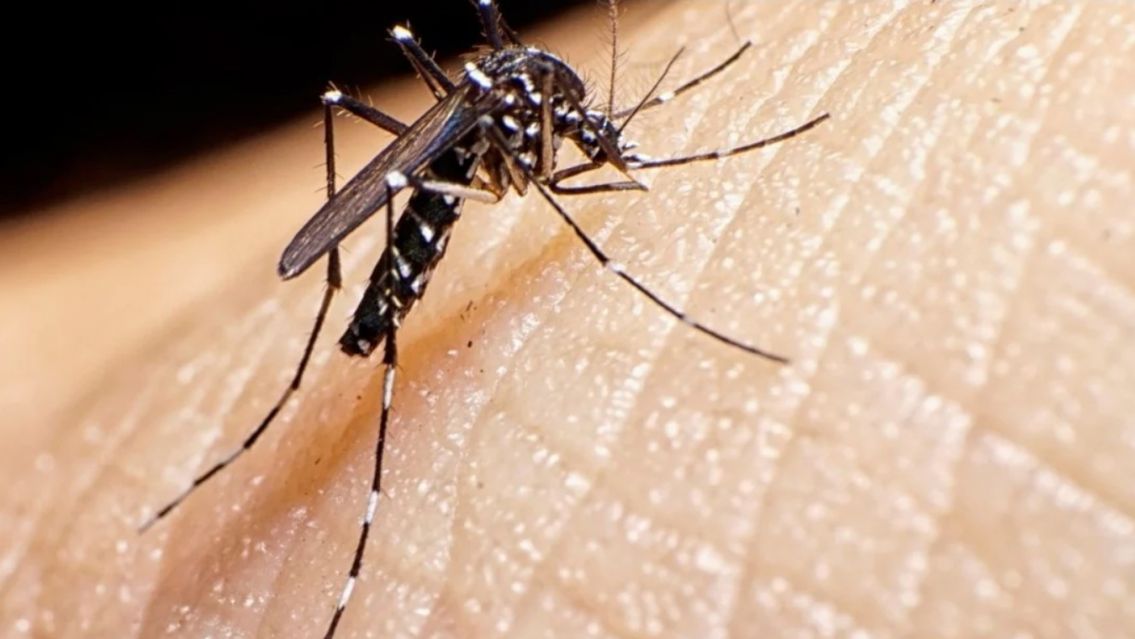Muri� una mujer por dengue: ten�a 36 a�os