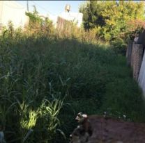 Albañil jujeño fua a hacer un presupuesto y vivió una pesadilla: Lo dejaron pila