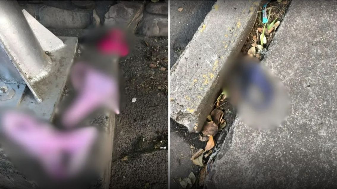 Umbanda: el peligroso gualicho que hicieron en la base del cerro San Bernardo