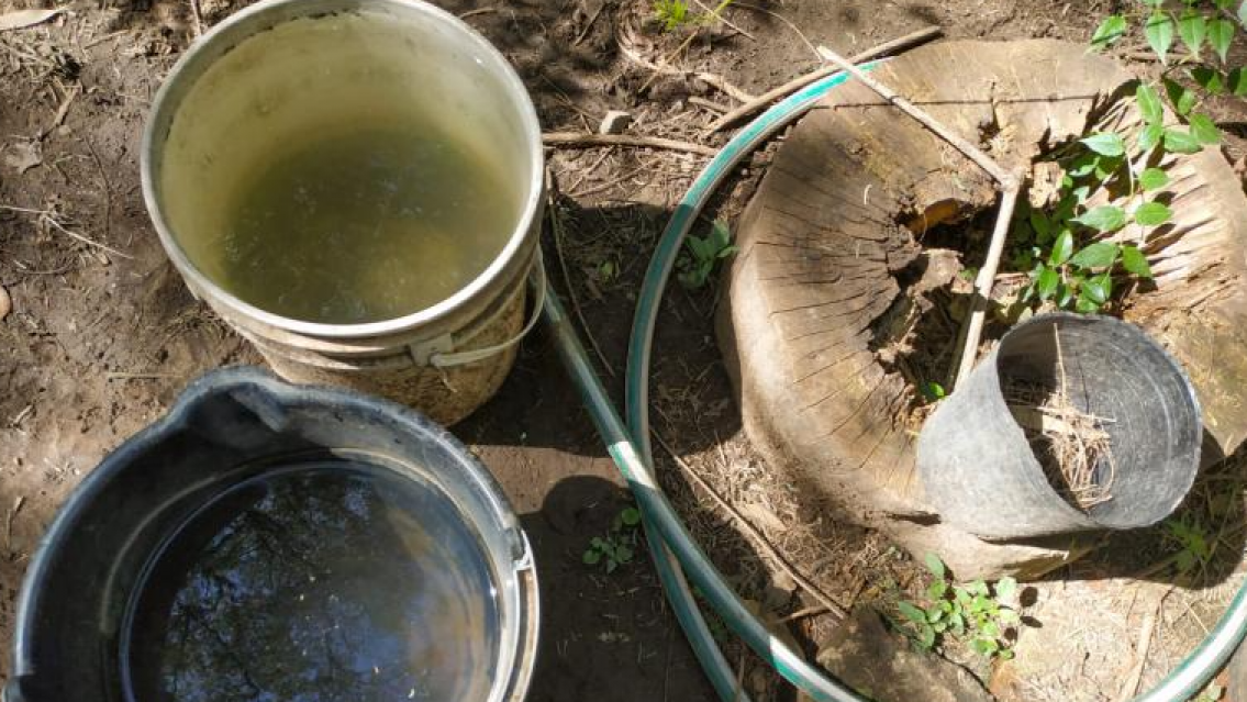 Murió una beba de tres meses por dengue: Crece la preocupación