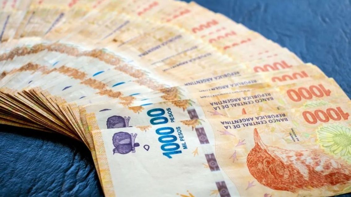 Anses confirmó la fecha de pago del bono: Desde los primeros días de febrero