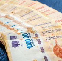 Anses confirmó la fecha de pago del bono: Desde los primeros días de febrero